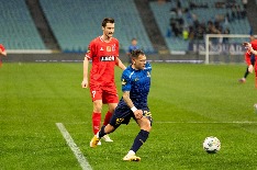 IMG_8522.jpg