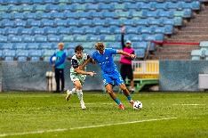 IMG_9208.jpg