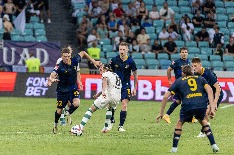 IMG_0381.jpg