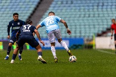 IMG_2529.jpg